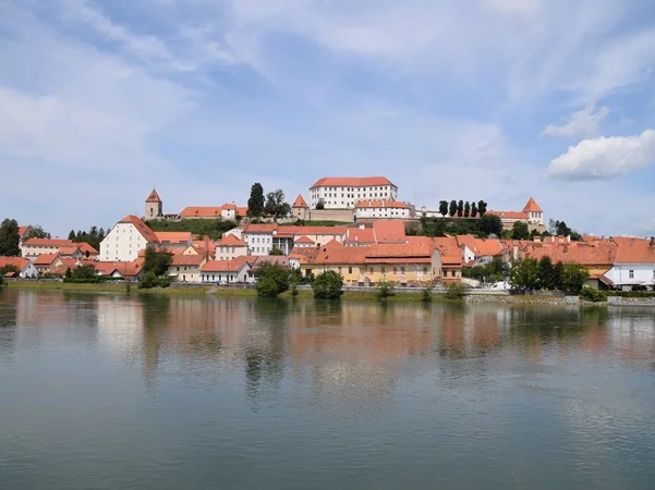 Panoramisch uitzicht op Ptuj met in het midden het kasteel van Ptuj