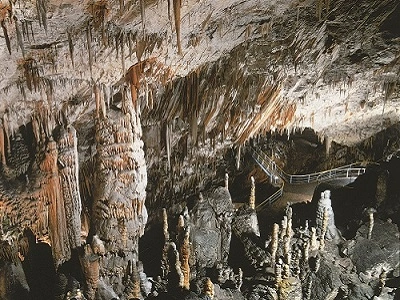 Een kijk op de grotten van Postojna