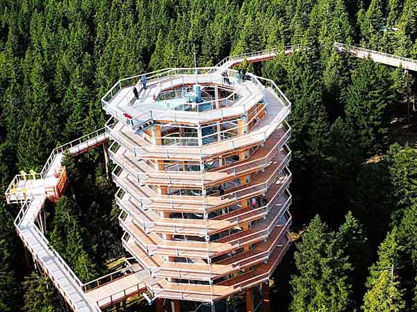 uitzicht op de boomtopwandeling