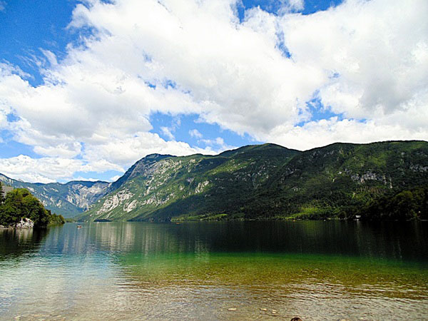 Fauna en flora, bossen & bergen om en rond het meer van Bohinj