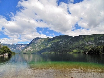 Fauna en flora, bossen & bergen om en rond het meer van Bohinj