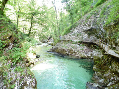 Foto van de Vintgarkloof, gelegen in de omgeving van Bled