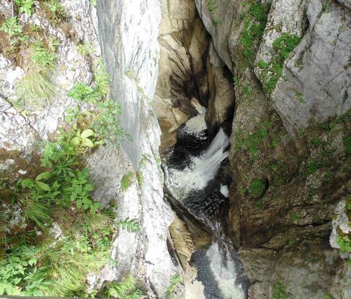 Een uitzicht op de stromingen van de Reka rivier