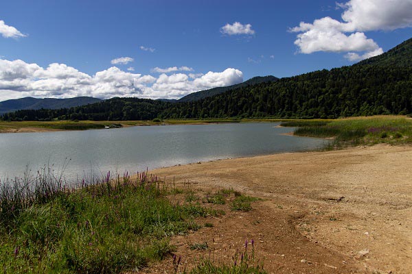 Een kijk op het Meer van Cerknica in de zomer