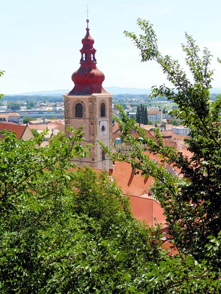 Foto van de bordeaux kleurige uikoepel van de stadstoren van Ptuj